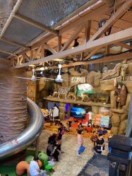 -卡通尼·Safari非洲探索乐园·生日会(金桥国际商业广场店)