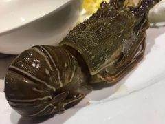 -甄品麦哲伦海鲜和牛自助(万达广场店)