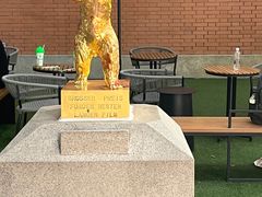 -西安电影制片厂