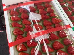 -西郊国际农产品交易中心