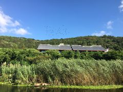 -普陀山慧济禅寺