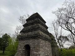 -广富林郊野公园