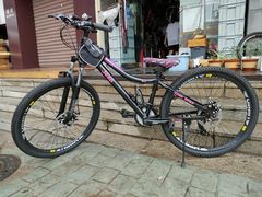 -道路口单车爱瓦士dahon大行