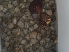 -北海金海湾红树林生态旅游区