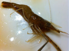iphone_upload_pic-粤味馆(黄河路店)