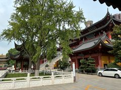 -上海东林寺(金山区)