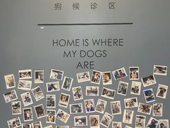 -柏萃动物医院·骨科·牙科