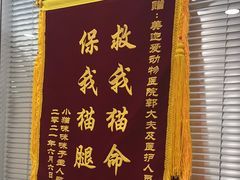 -美迦爱动物医院·夜诊(朝阳路诊疗中心)