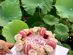 -5Cake五度无蔗糖低脂蛋糕(陶然亭店)