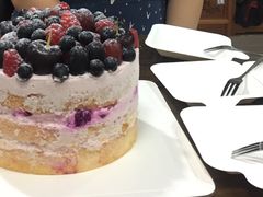 -EnergyCake蛋糕理想国
