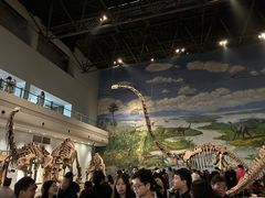 -自贡恐龙博物馆