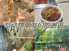 -深圳野生动物园
