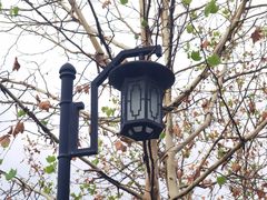 -大渡口区义渡公园