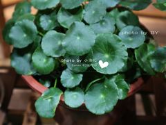 -猫的天空之城概念书店(杭州南宋御街店)