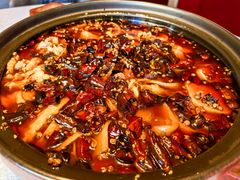 俏江南传统毛血旺-星·South Beauty·俏江南(国贸店)
