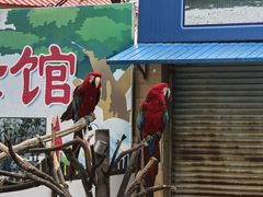 -秦皇岛野生动物园