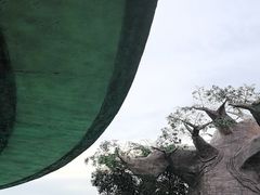-苏州湾梦幻水世界