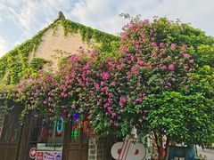 -老门东历史文化街区