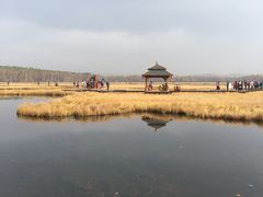 -塞罕坝国家级自然保护区