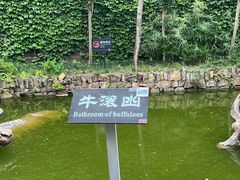-燊海井