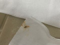 -朴氏韩国料理(北欧丽景店)