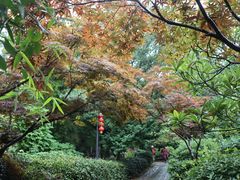-雨花胜境