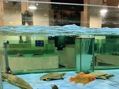 -旺顺阁海鲜广场(亚运村店)