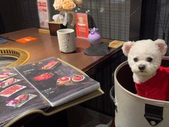 -橘焱胡同烧肉夜食(BFC外滩金融中心店)
