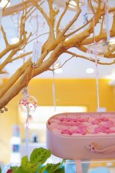 -杭州贝瑞斯美华妇儿医院·早孕·产检·儿科