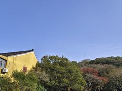 -普陀山风景名胜区-法雨禅寺