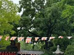 -龙华寺