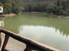 -滴水岩森林公园