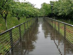 -羊山湖公园
