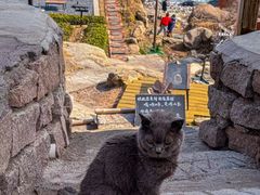 -青岛崂山太清宫