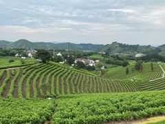 -帐篷客·溪龙茶谷度假酒店