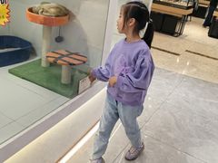 -1013 PET SHOP精品宠物商店(丁香店)