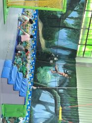 -蹦贝JumpingJack运动中心·炫飞蹦床(龙华店)