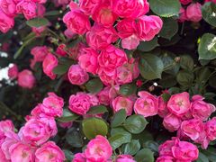 -广富林郊野公园