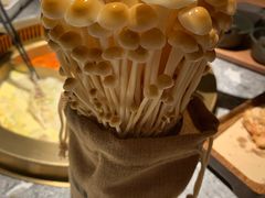 -麻路成都火锅(柏威年店)