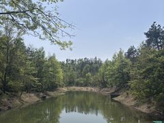 -青龙山国家森林公园