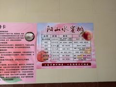 -老袁家蜜桃农场·阳山水蜜桃