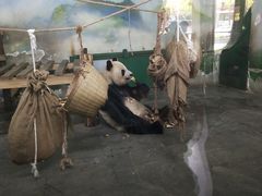 -无锡动物园·太湖欢乐园