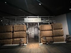 -布洛克德克萨斯国家历史博物馆