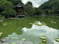 -云溪植物园