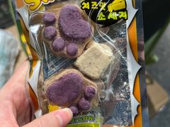 -小呆的宠物店·宠物售卖·宠物寄养(城西店)