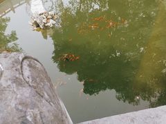 -宝通禅寺