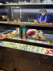 -鼎极摄影(世纪金源店)