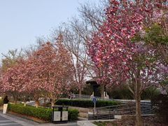 -宫门口馒头铺(创始人总店)
