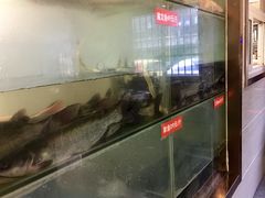 -万和源炝锅城·活鱼现炝(文艺北路店)
