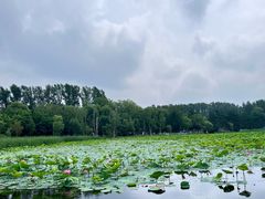 -长春净月潭风景名胜区